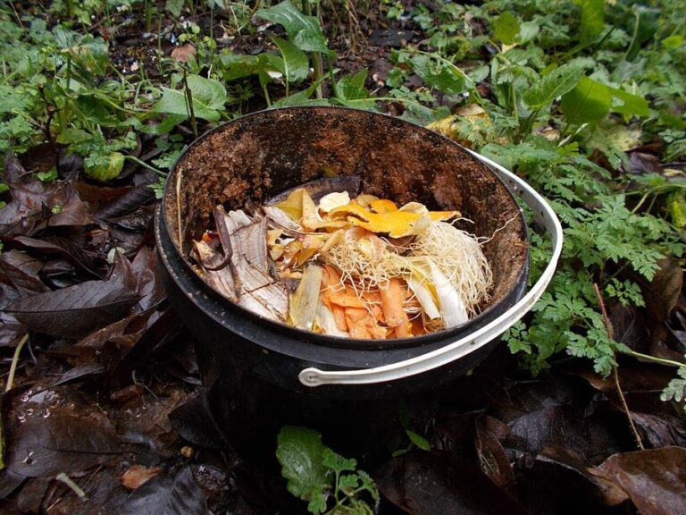 Balde de compostagem com cascas de cenoura, laranja e banana e outros restos de legumes